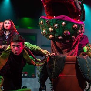 Meet your Posher, Marcel